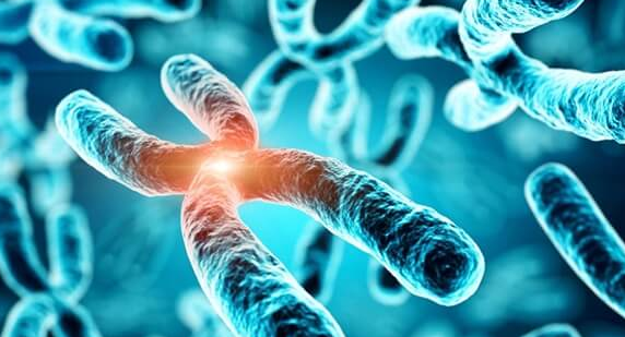 染色体易位做试管婴儿的成功率与三代正常概率解析