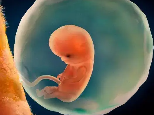 泰国DHC医院：试管婴儿领域的璀璨明珠