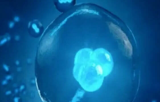 美国三代试管婴儿移植双胎：梦想背后的风险考量