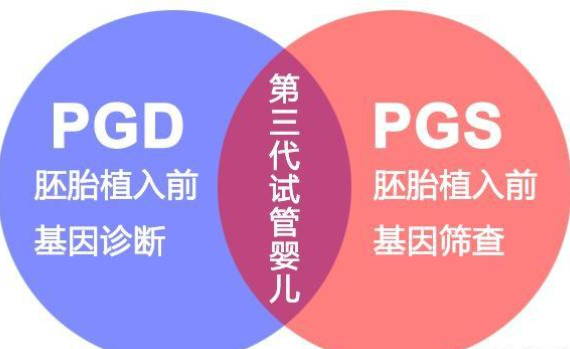 禾孕嘉合作格鲁吉亚医院第三代试管婴儿技术科普知识