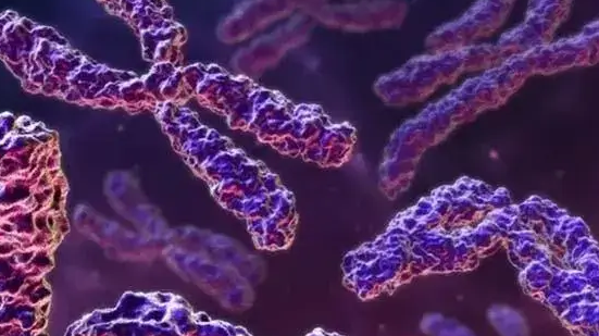 女方染色体异常在泰国做三代试管婴儿的成功率