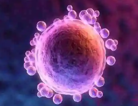 美国试管婴儿鲜胚成功率及其关键影响因素解析