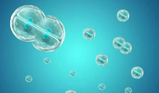 大龄试管婴儿攒胚策略:利弊分析与决策指南