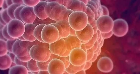 试管不是取卵越多成功率越高！附取卵太多的弊端说明