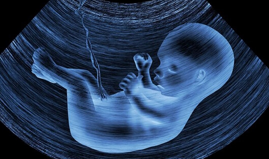 上海试管婴儿医院：鲜胚移植后孕酮低怎么回事？