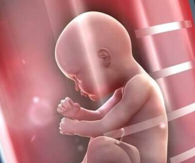 美国试管婴儿取卵过程中的空卵泡：解析与应对