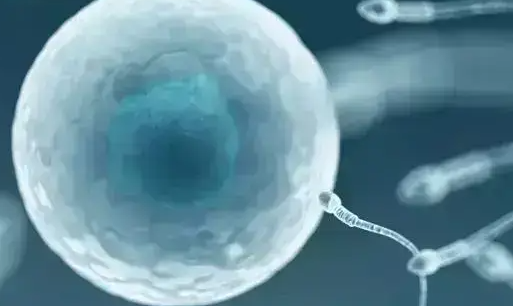 详解幼稚子宫与美国试管婴儿：选择的关键