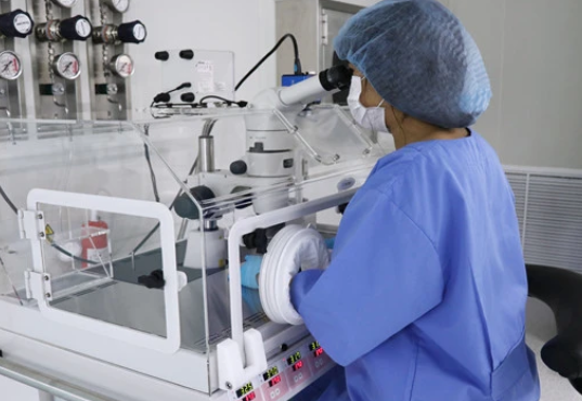 解读泰国试管移植成功的十个征兆