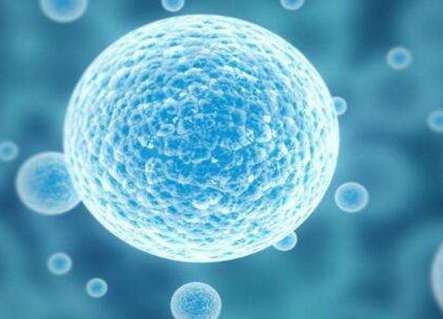 泰国千禧生殖中心：决定试管婴儿成功的关键细节全解析