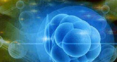 试管婴儿调内膜方案全解析：激素替代周期为核心策略