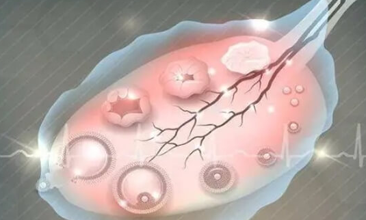 美国CCRH生殖中心：AMH值与卵巢功能关系释疑