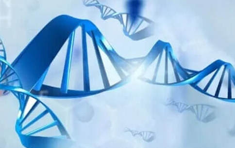 先天性肾病患者如何通过三代试管婴儿生育健康宝宝