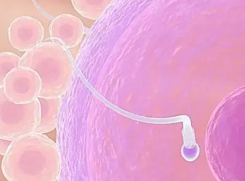 泰国短方案促排：月经第几天启动？一文详解