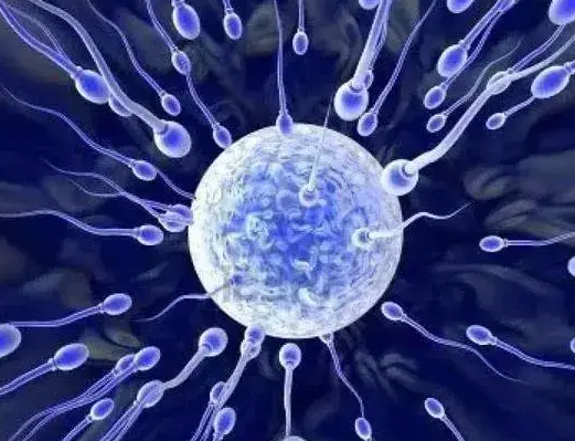 美国CCRH生殖中心：精子活力低并非只能做试管婴儿