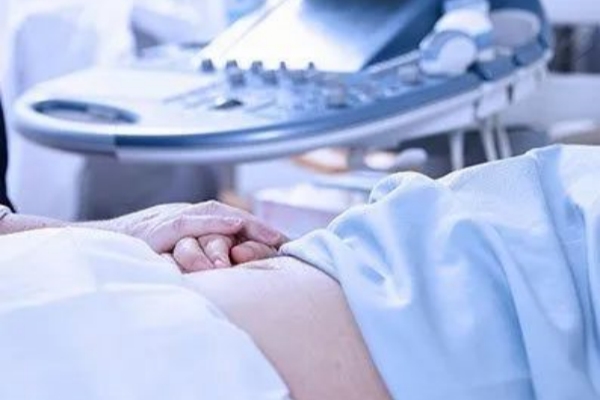 胚胎移植后第二天的关键行动指南:科学提升着床率