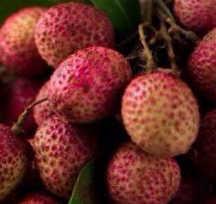 上海试管婴儿医院：试管移植后过量吃荔枝的健康风险