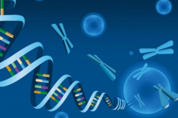 美国EFC生殖中心：细数提高试管婴儿一次成功率方法