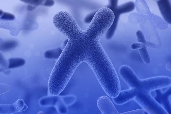 泰国DHC生殖医院：三代试管婴儿技术准入门槛-严重传染性疾病成禁忌