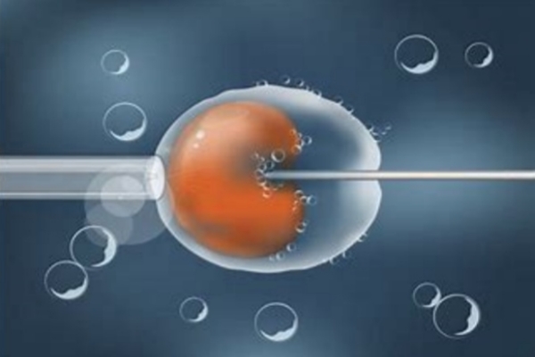 美国CCRH生殖中心：胚胎移植后易感冒-抵抗力下降或为关键诱因