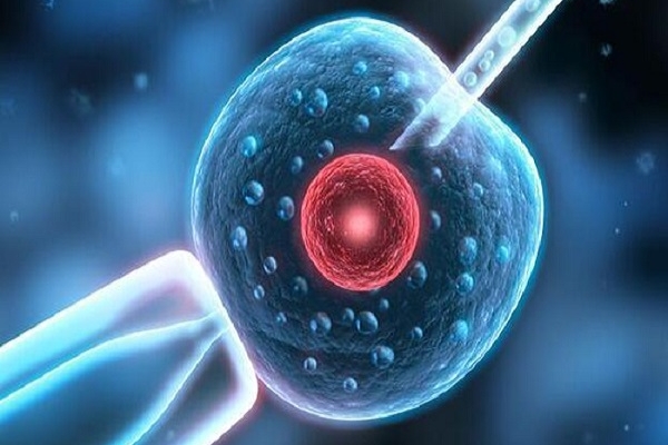 美国CCRH生殖中心：试管移植选择1个还是2个胚胎需综合考量