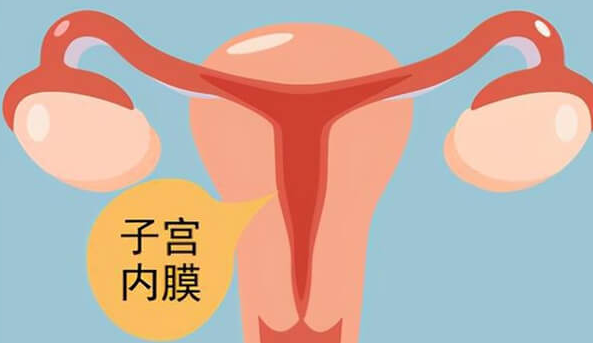 上海试管婴儿医院：改善子宫内膜容受性-增厚内膜是关键突破口