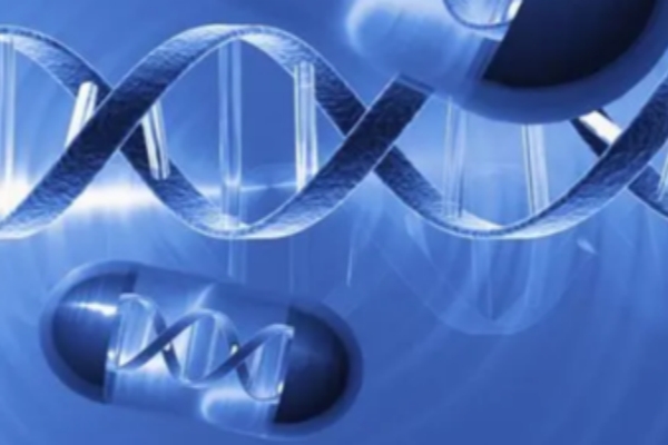 泰国试管移植后科学养胎指南：5大黄金法则让胚胎着床率飙升