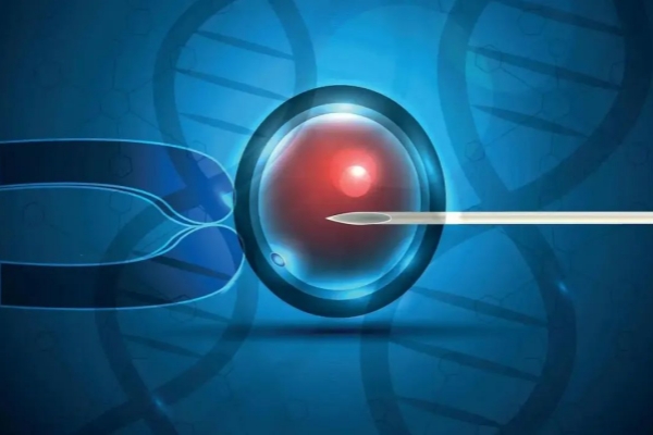 美国试管婴儿移植后关键注意事项：科学休养助力胚胎着床