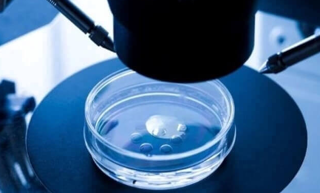 做试管婴儿为何会出现畸形?或与病毒感染有关