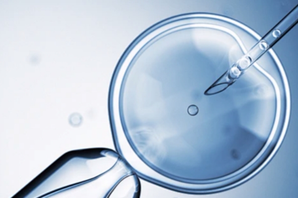 鲜胚移植成功征兆全解析:HCG持续升高是关键信号