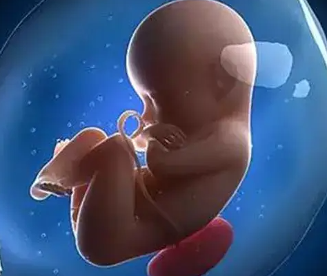 HPV阳性与试管婴儿：风险需警惕，但非绝对禁忌