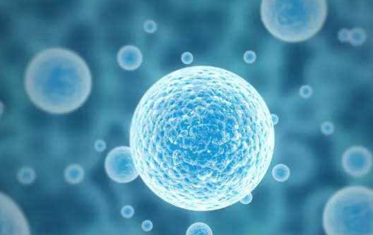 上海试管婴儿医院：隔了3天卵泡怎么才长了1mm？