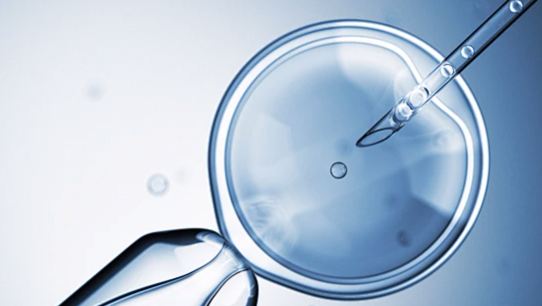 美国CCRH生殖中心：试管婴儿对性激素六项的要求