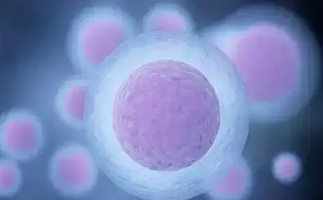 泰国试管婴儿促排卵方案常用药物解析