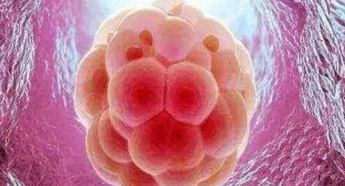 6ac与6aa囊胚质量对比及美国移植成功率分析