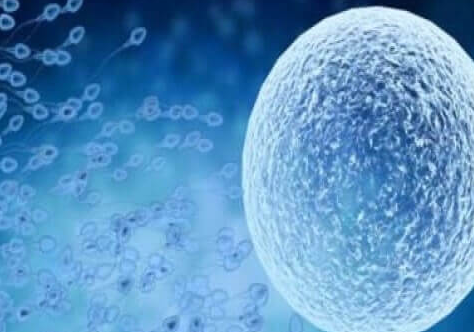 鲜胚移植全流程解析:先检查后手术