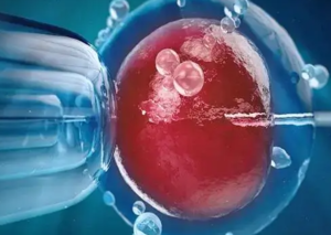 边降调边促排：增加卵泡数量的科学策略