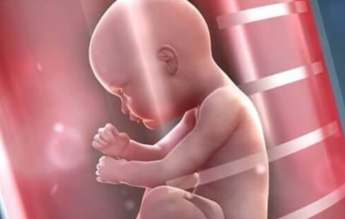 美国试管婴儿周期中孕酮水平降低的原因解析