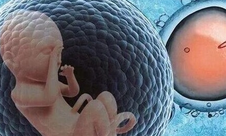 泰国试管移植第十八天HCG正常值解析