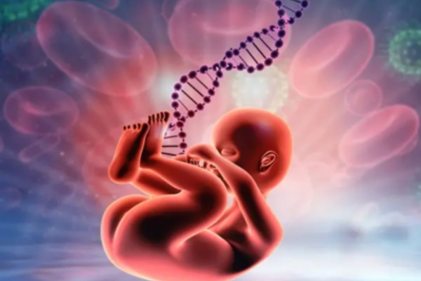 泰国千禧生殖中心：试管婴儿过程中黄体破裂的风险与原因解析