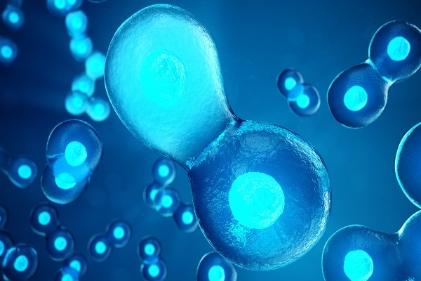 美国CCRH生殖中心：降调后卵泡不均匀别慌，看完这篇心中有数