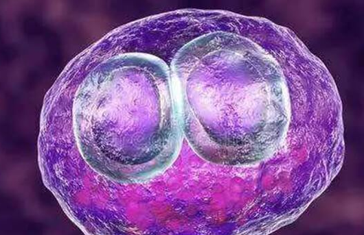 美国试管移植一般放几个胚胎？植入2-3个好不好提前知