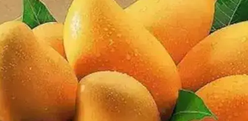 泰国试管取卵后这四类人慎吃芒果，不忌口或影响胚胎移植成功率