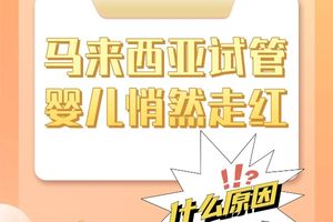 不少人做试管都悄悄飞马来西亚？这5大优势你听说过吗？