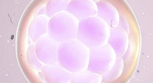 移植优质胚胎却不着床？这6种因素或是“幕后黑手”