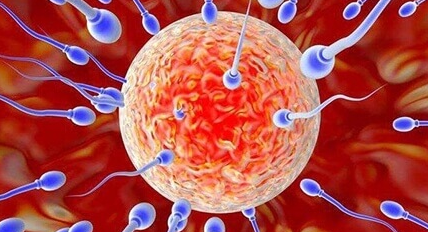 试管婴儿对女性身体的伤害有多大？科学解答背后的真相！