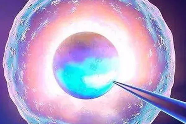 上海试管婴儿医院：试管婴儿成功后保养全解析