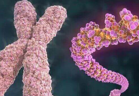 多发性骨软骨瘤在美国做三代试管婴儿能否避免遗传？