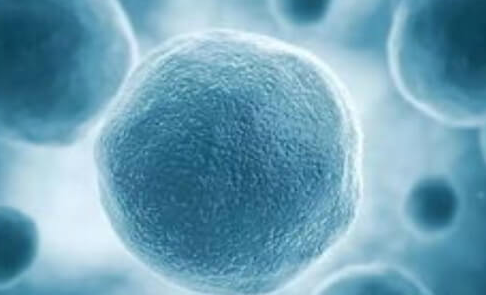 美国试管婴儿胚胎养囊有限制，哪些情况需要养囊？