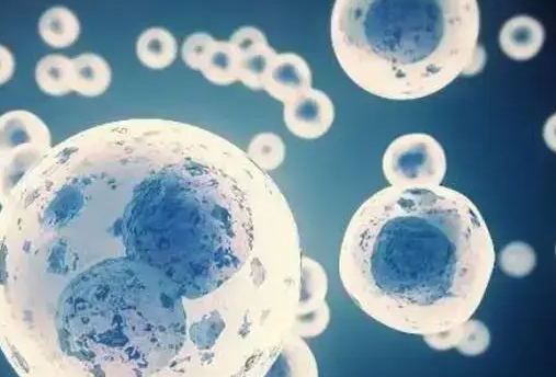 高龄女性远赴泰国做试管婴儿的注意事项