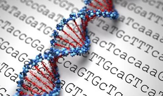 染色体异常：生育路上的“隐形杀手”